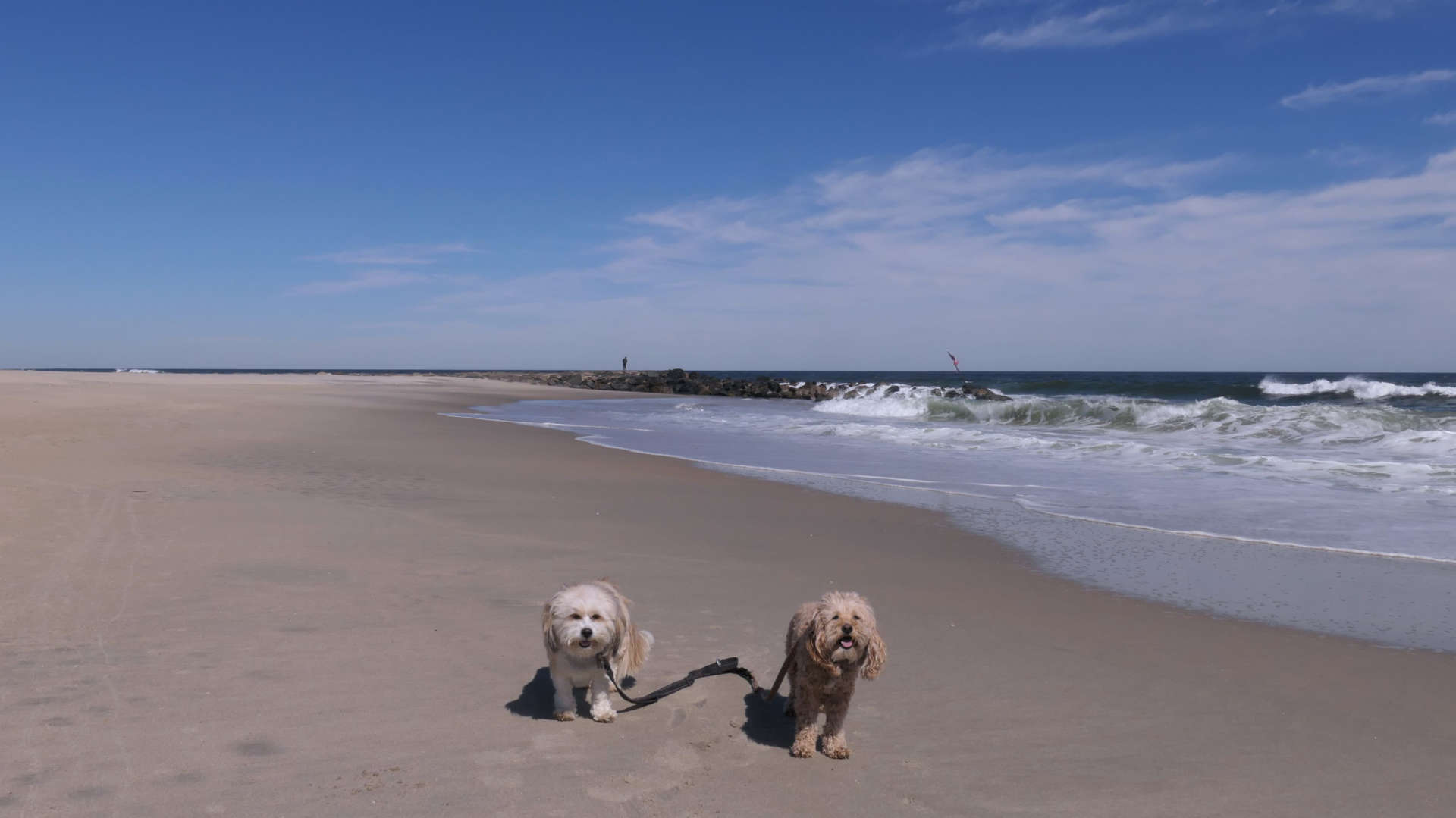 Allenhurst6