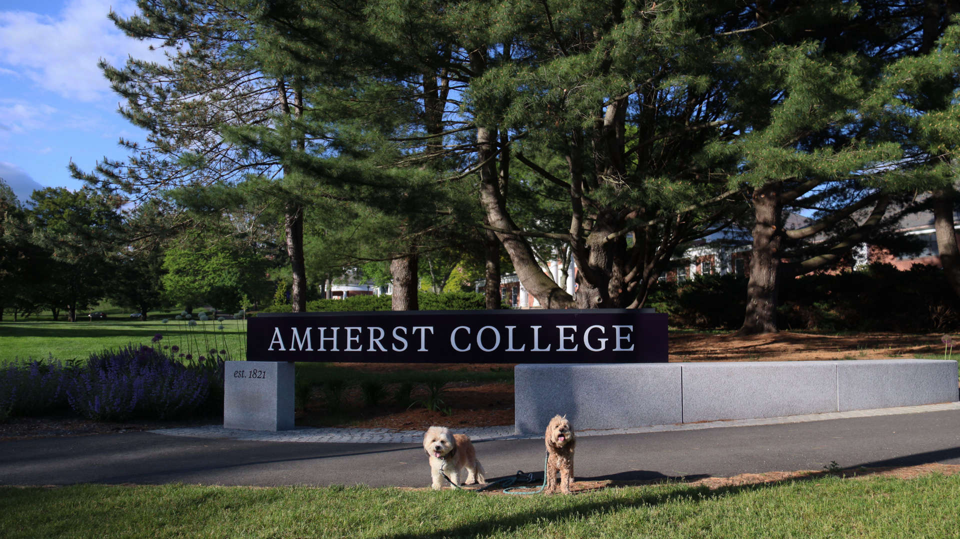 Amherst119