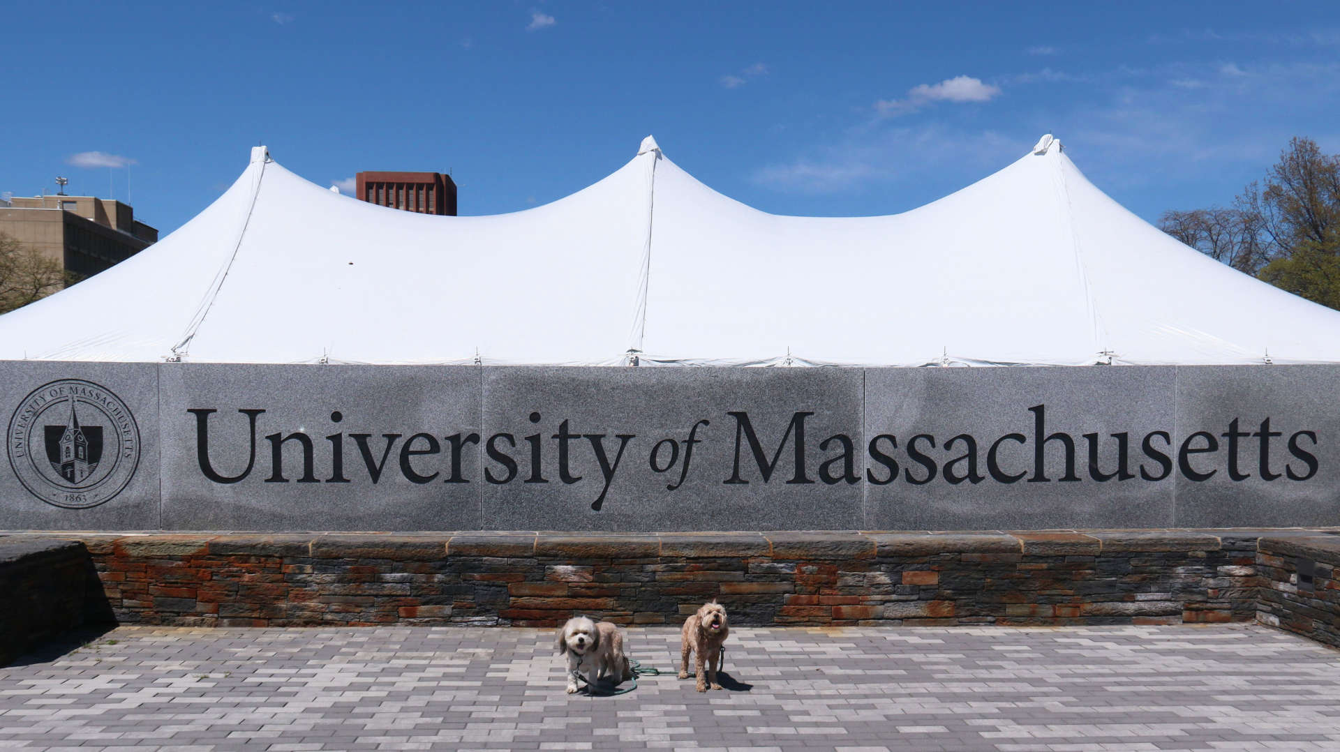 Amherst56