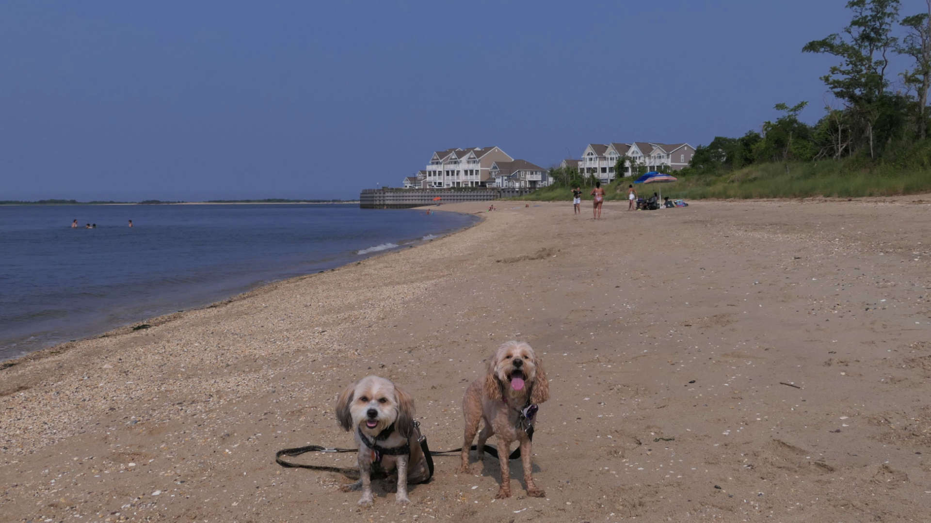 Atlantic_Highlands3