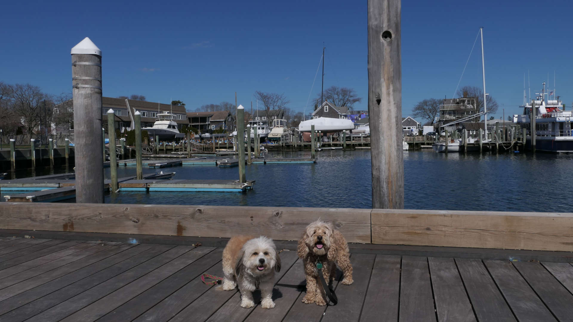 Barnstable36