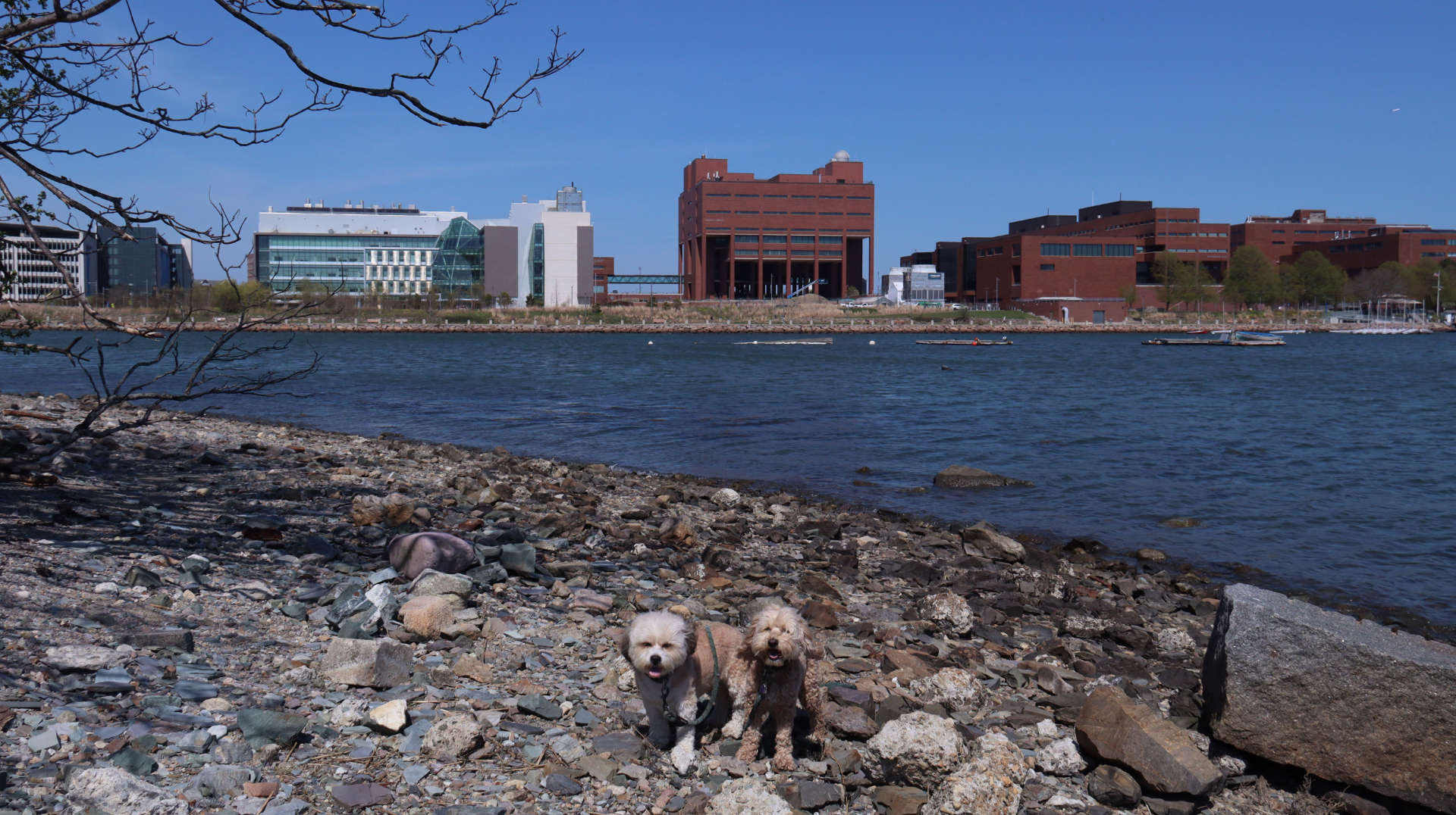 Boston380