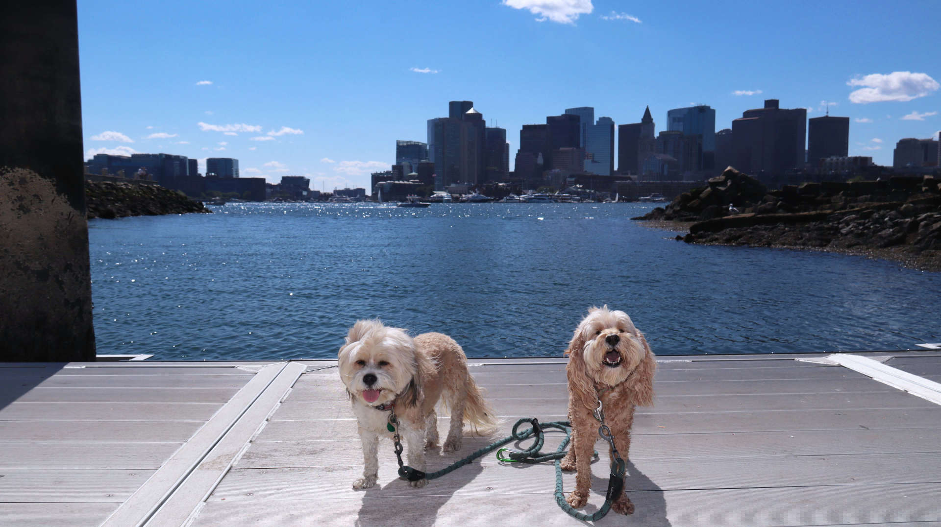 Boston411
