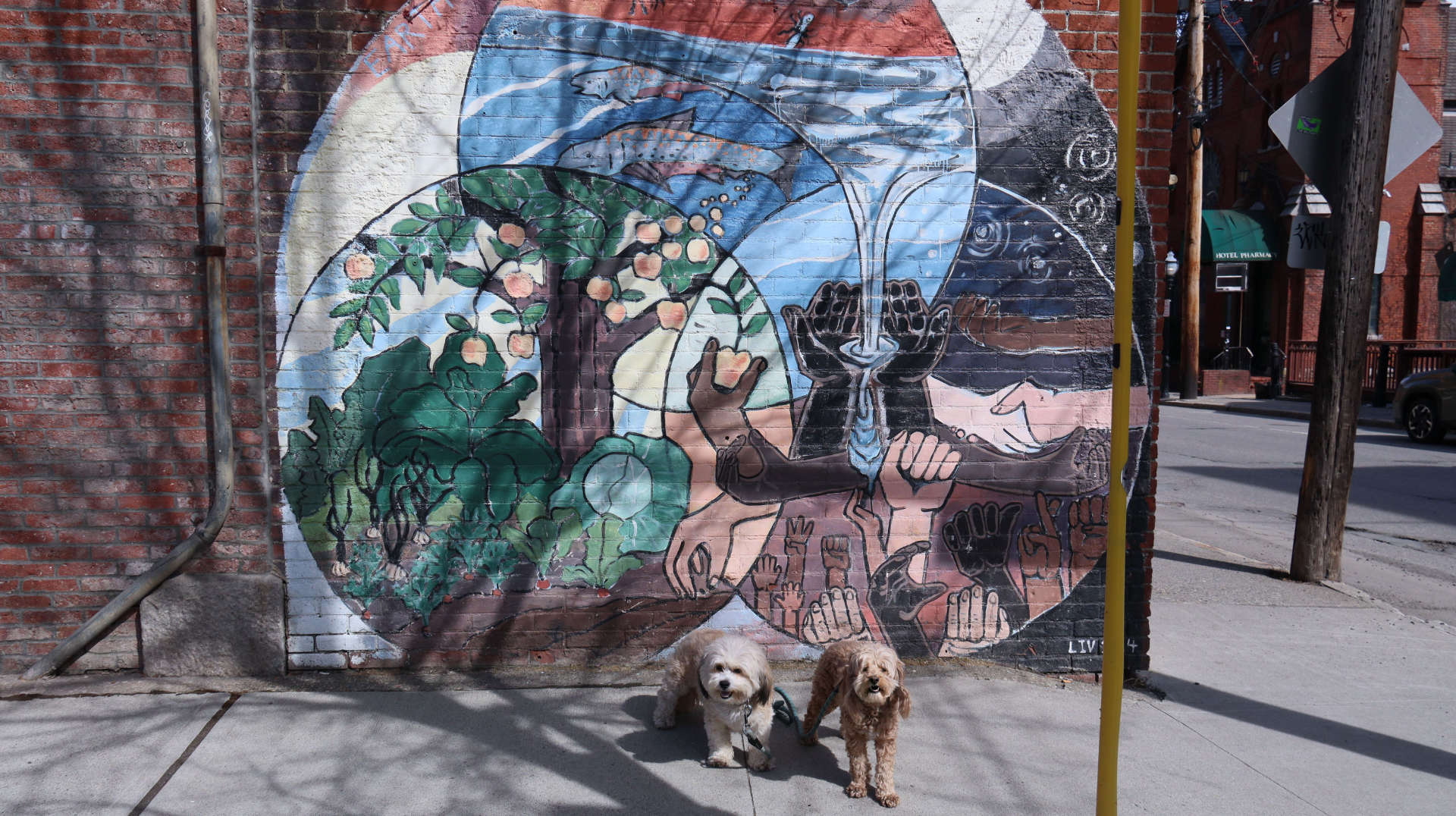 Brattleboro14