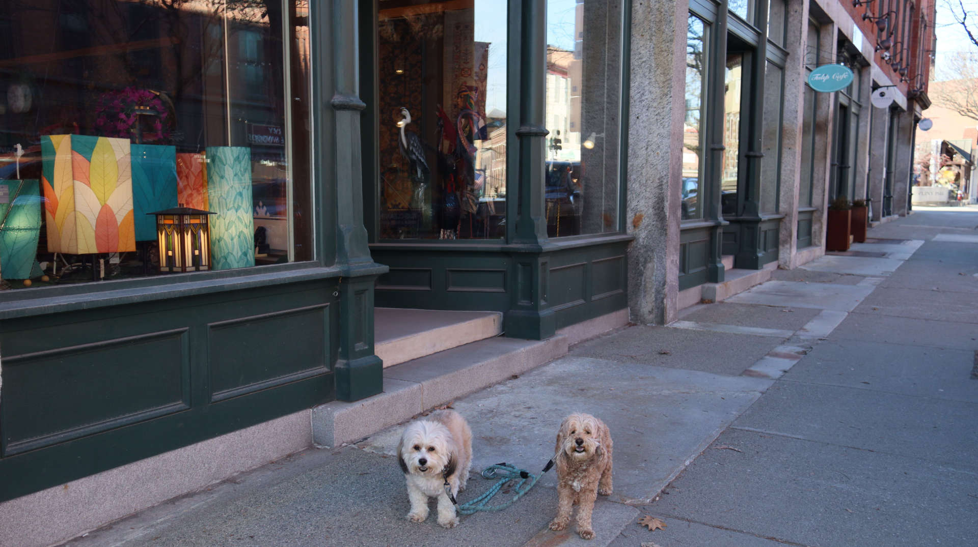 Brattleboro28