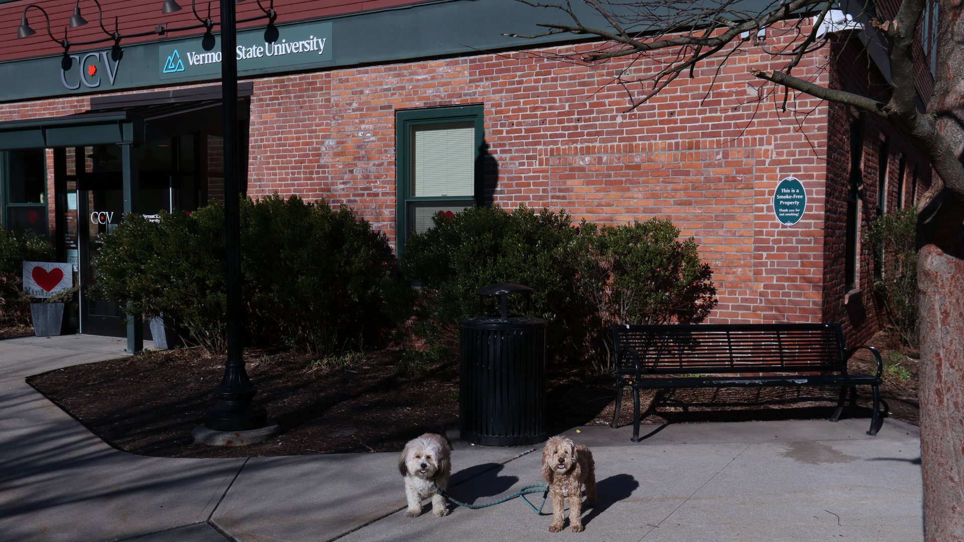 Brattleboro38