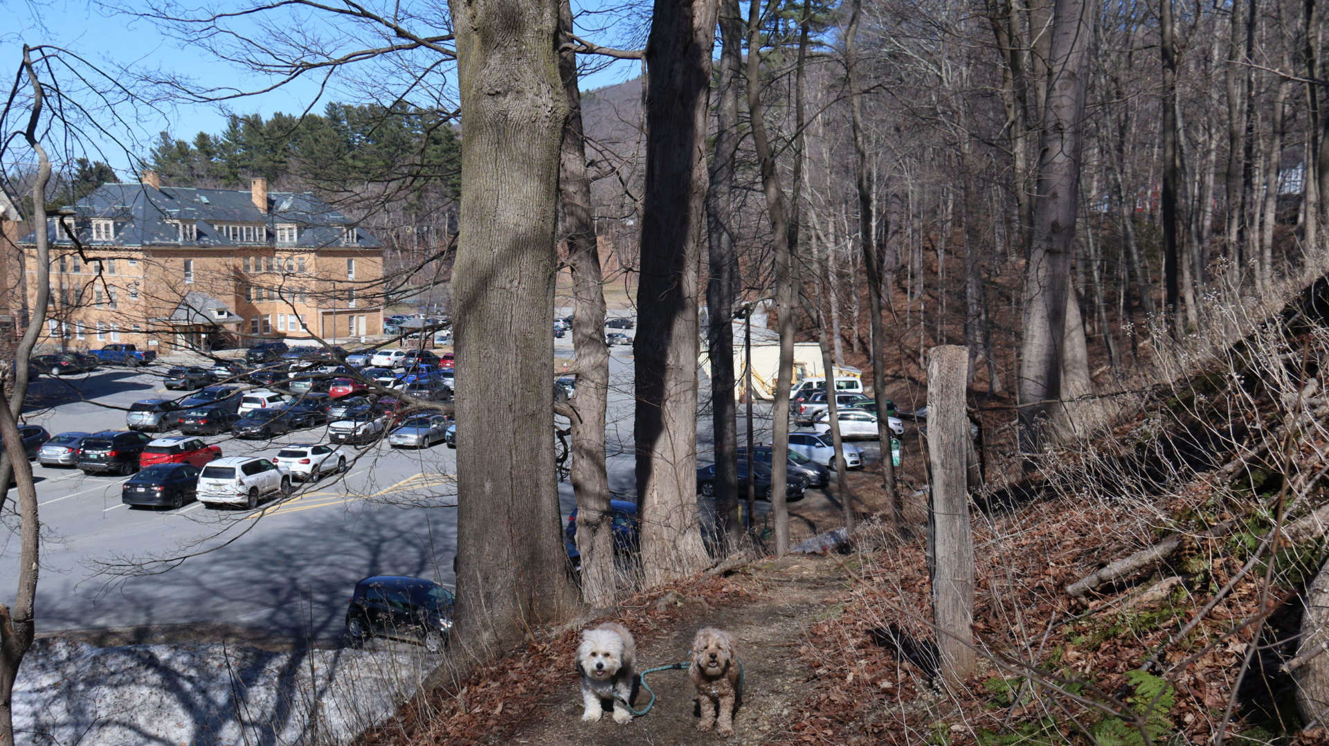Brattleboro42