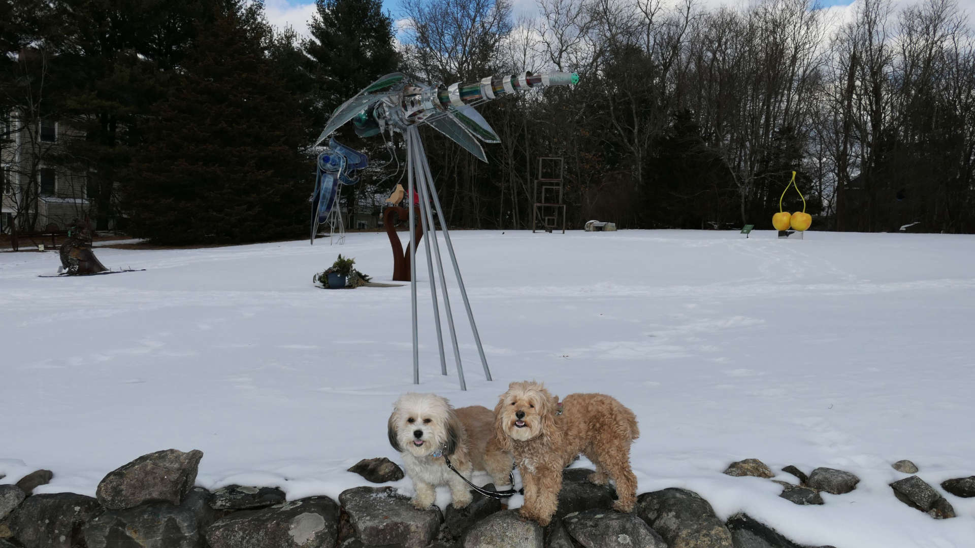 BurlingtonMA16