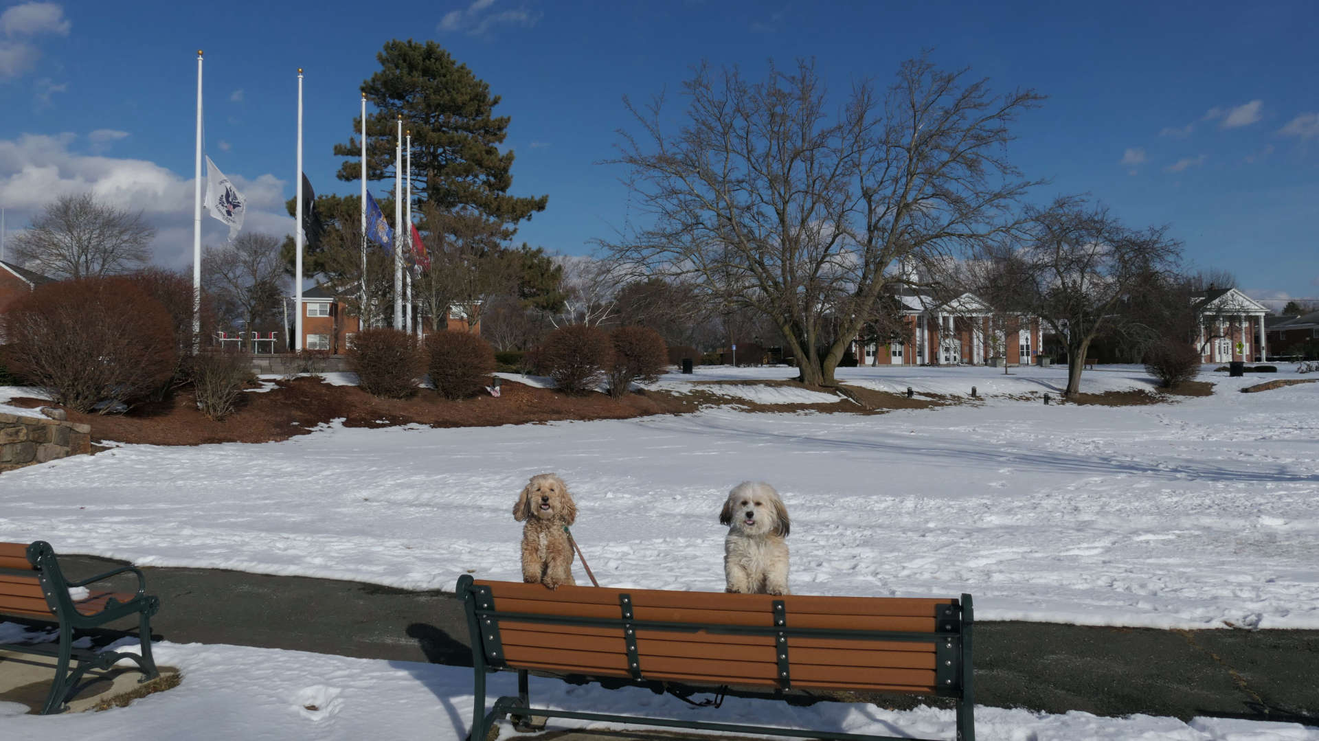 BurlingtonMA8