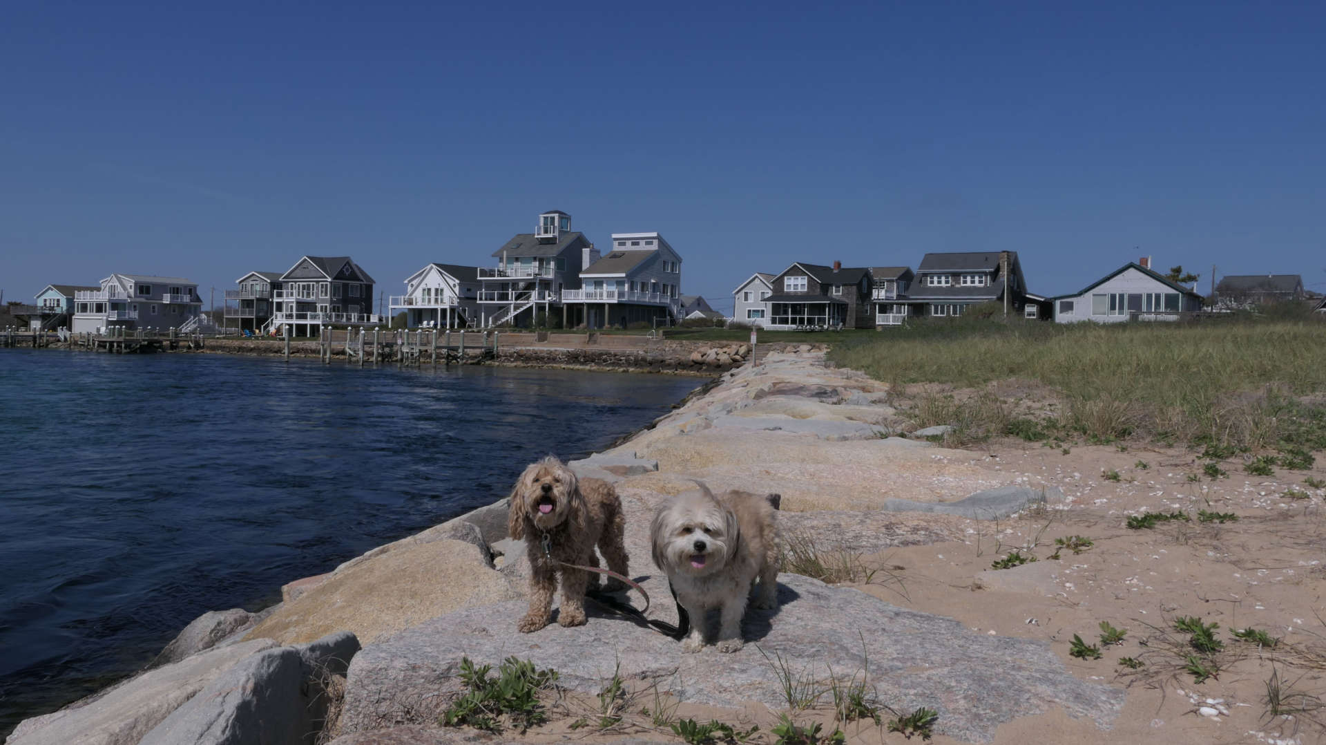 Charlestown289