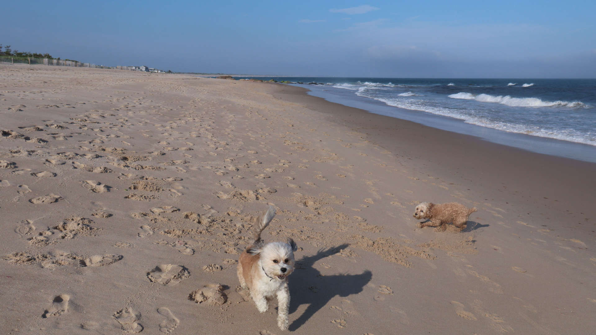 Charlestown546