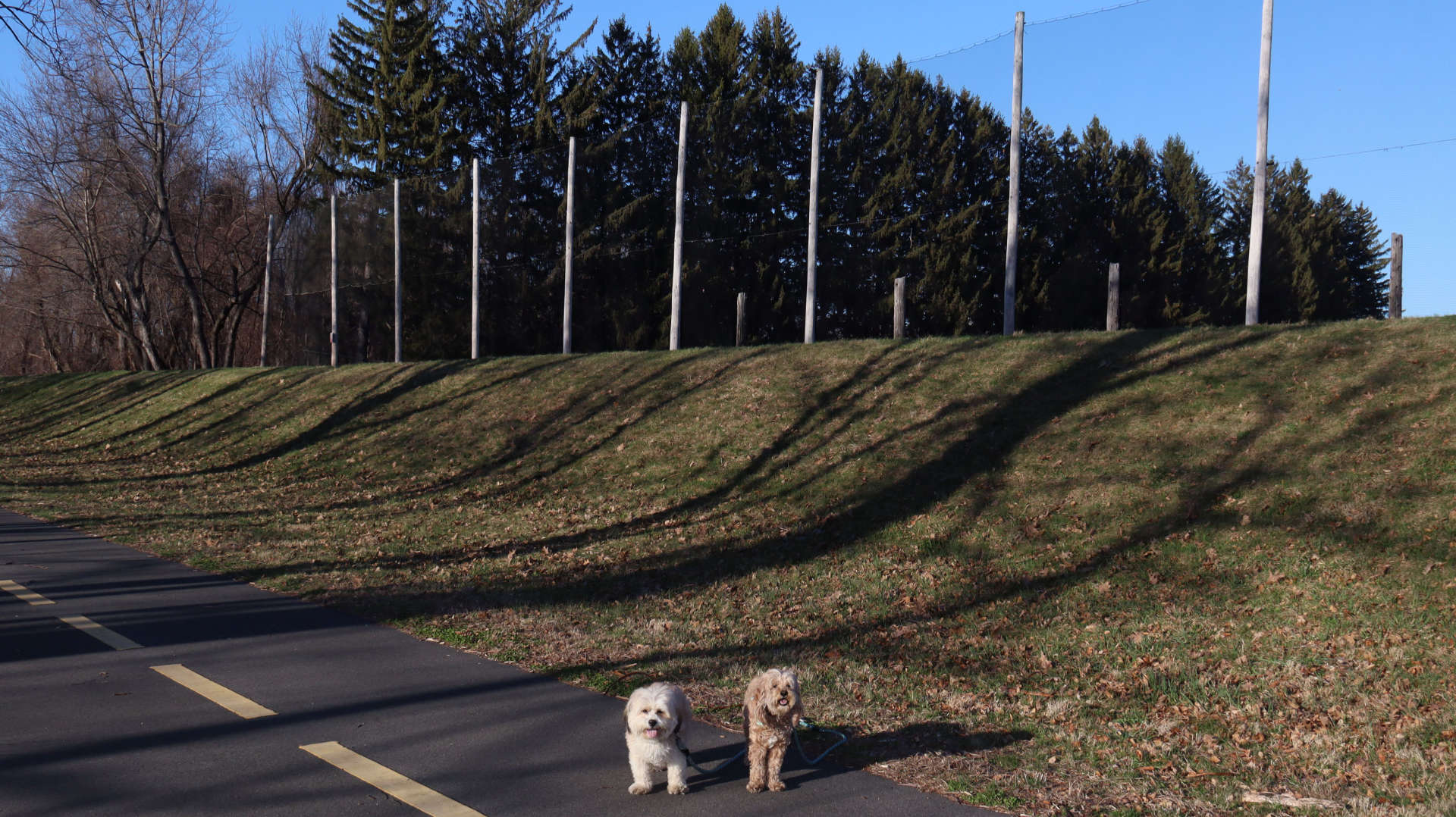 Chicopee15