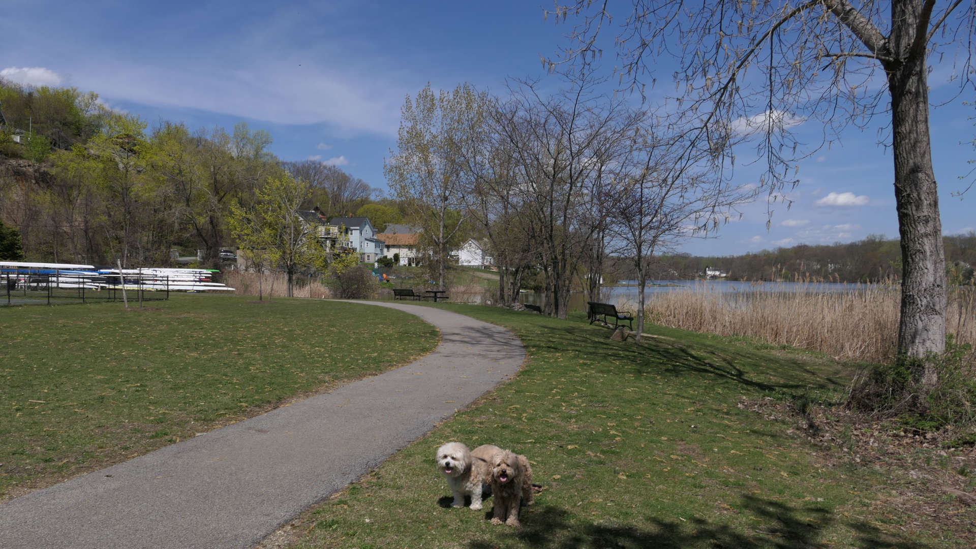 Cortlandt62
