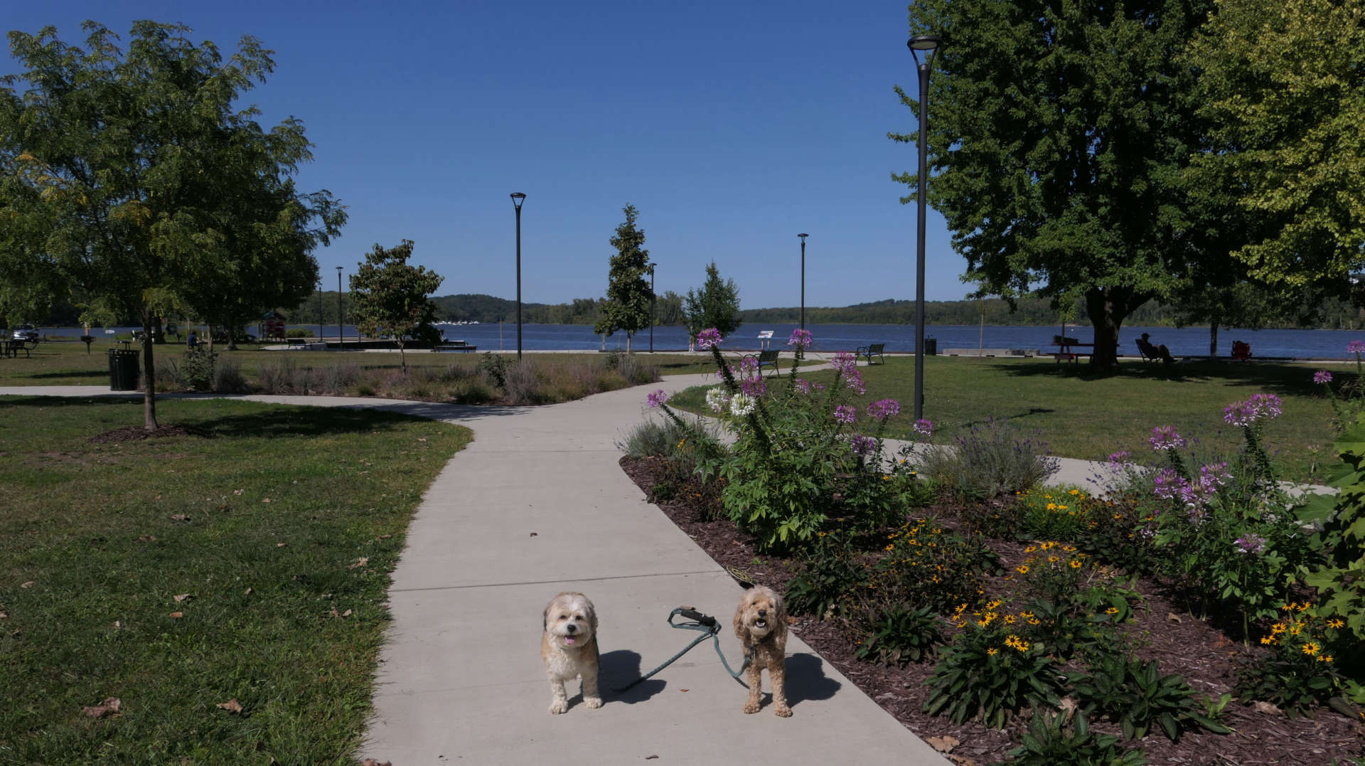 Coxsackie4