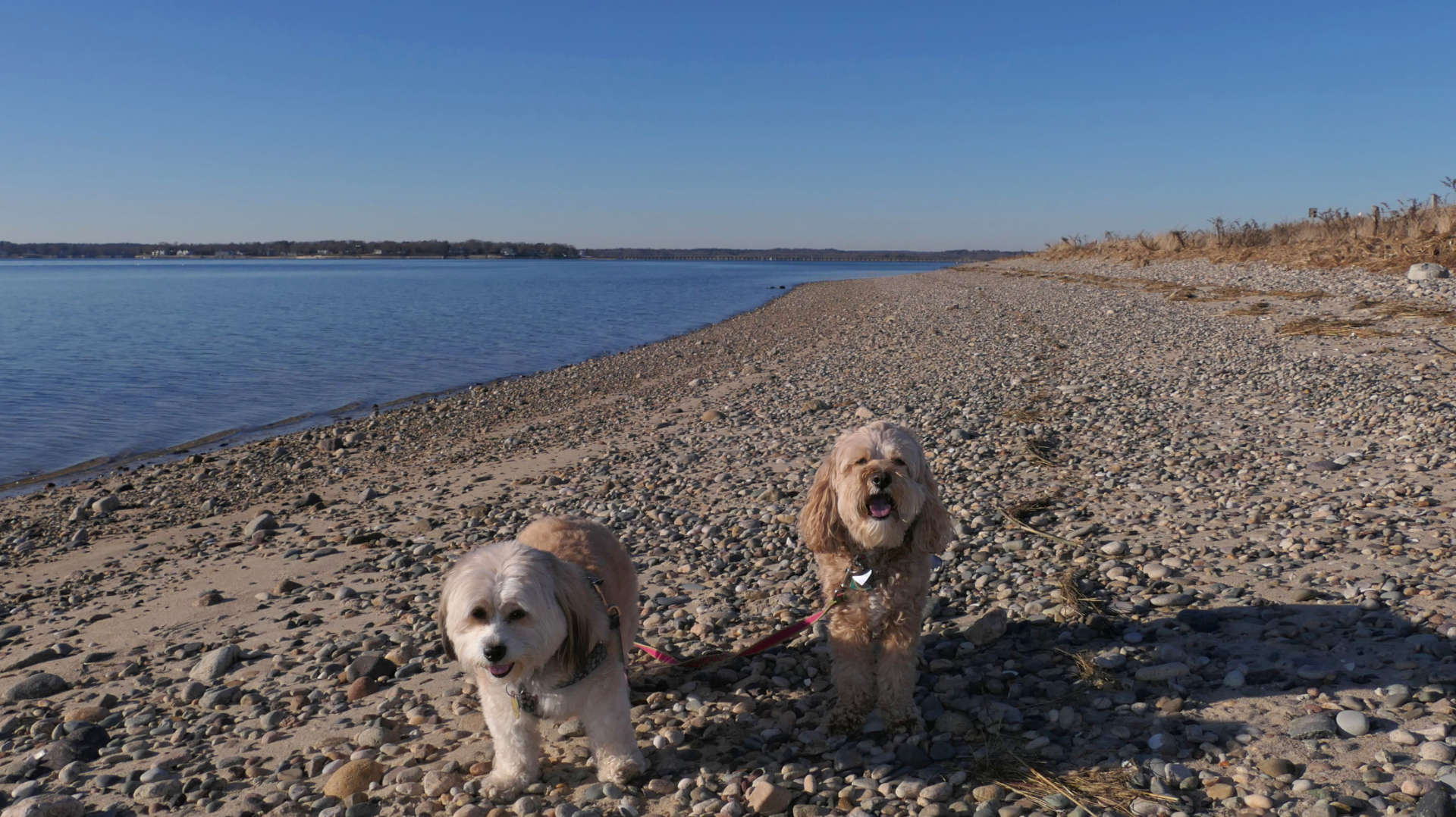 Duxbury13