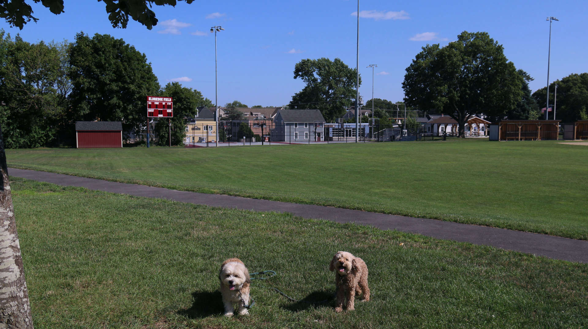 East_Greenwich64