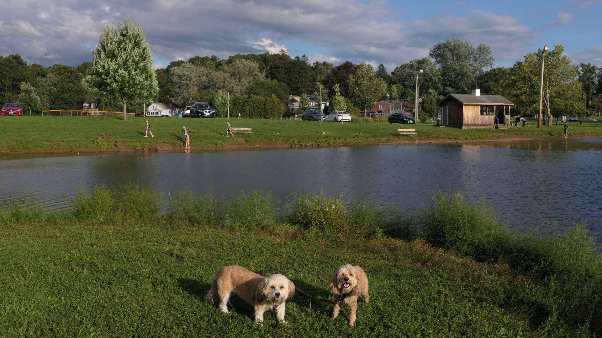 East_Longmeadow9