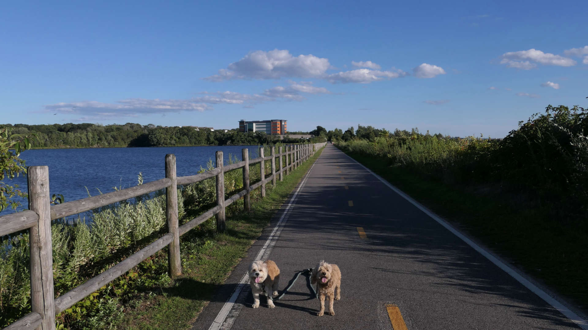 East_Providence108