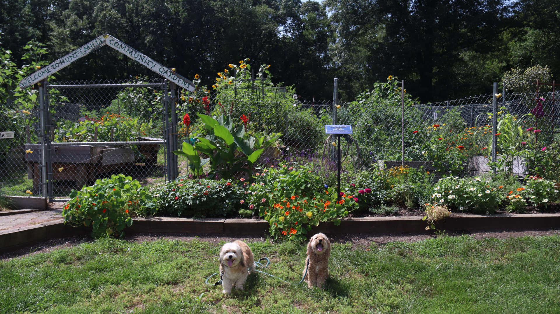 East_Providence135