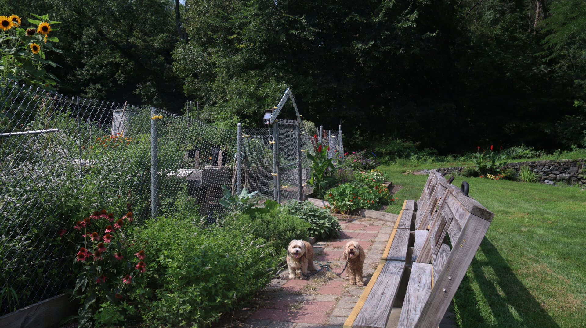 East_Providence151