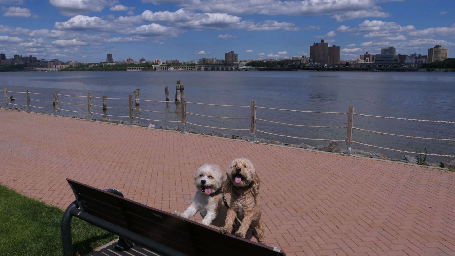 Edgewater13