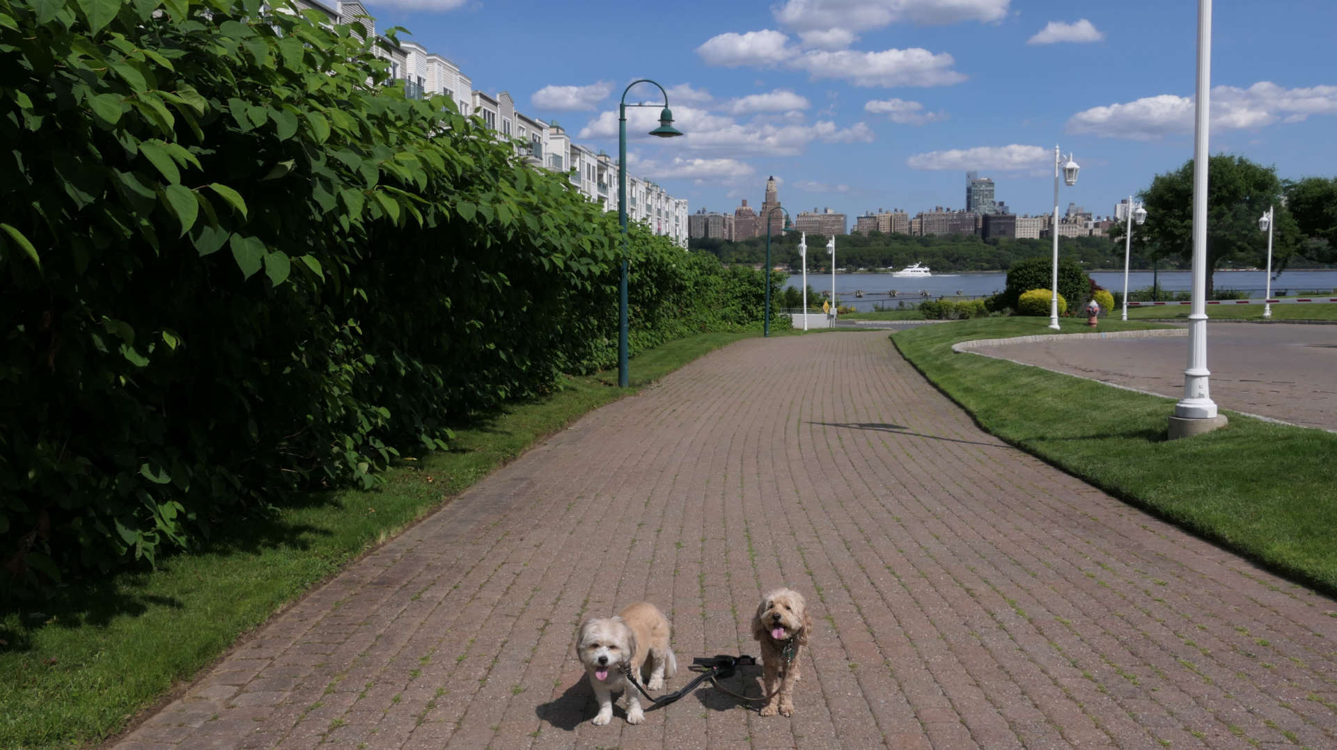 Edgewater23