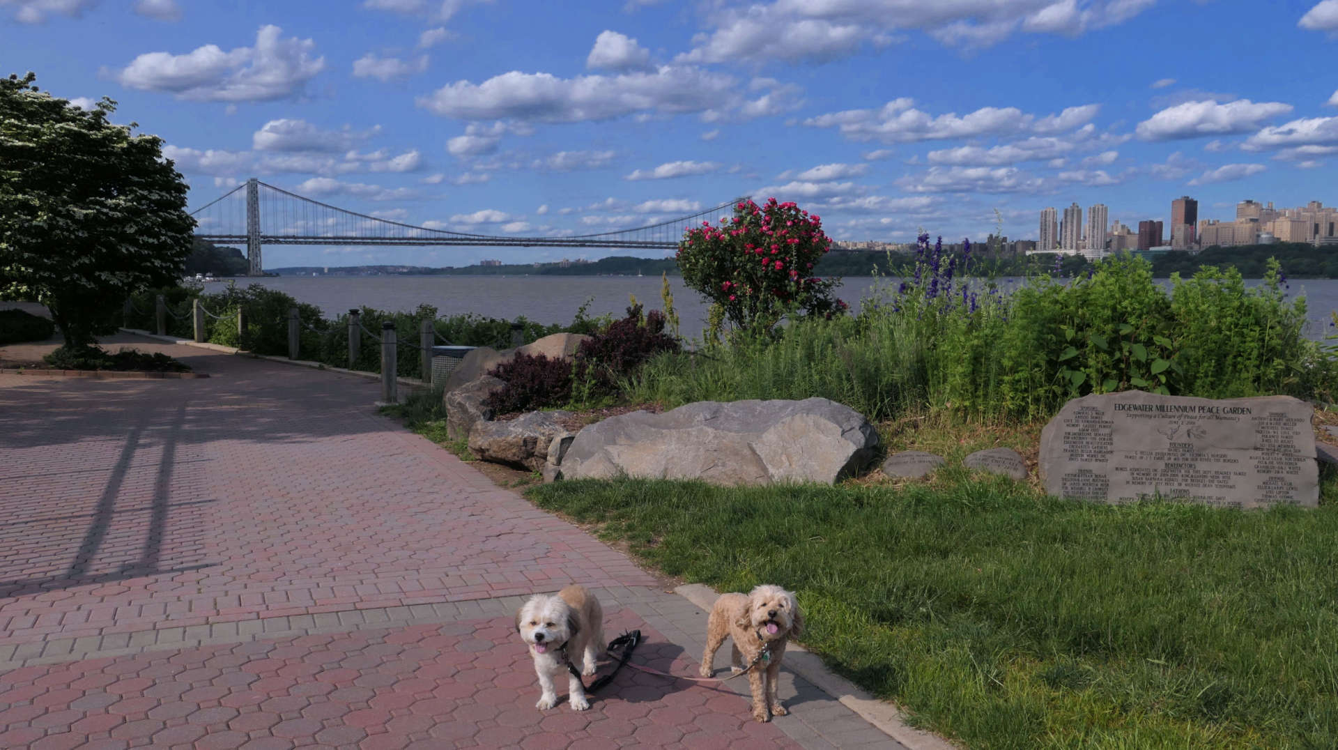 Edgewater30