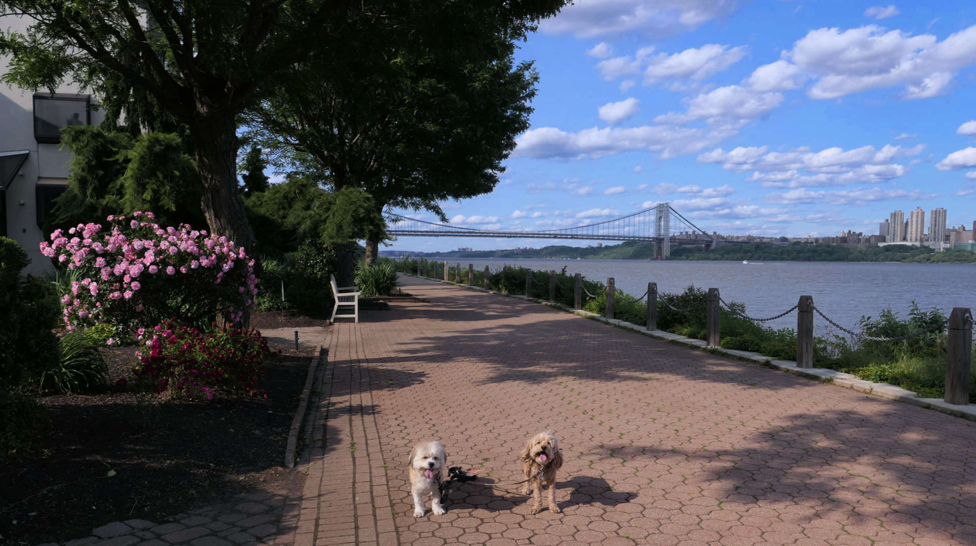 Edgewater31