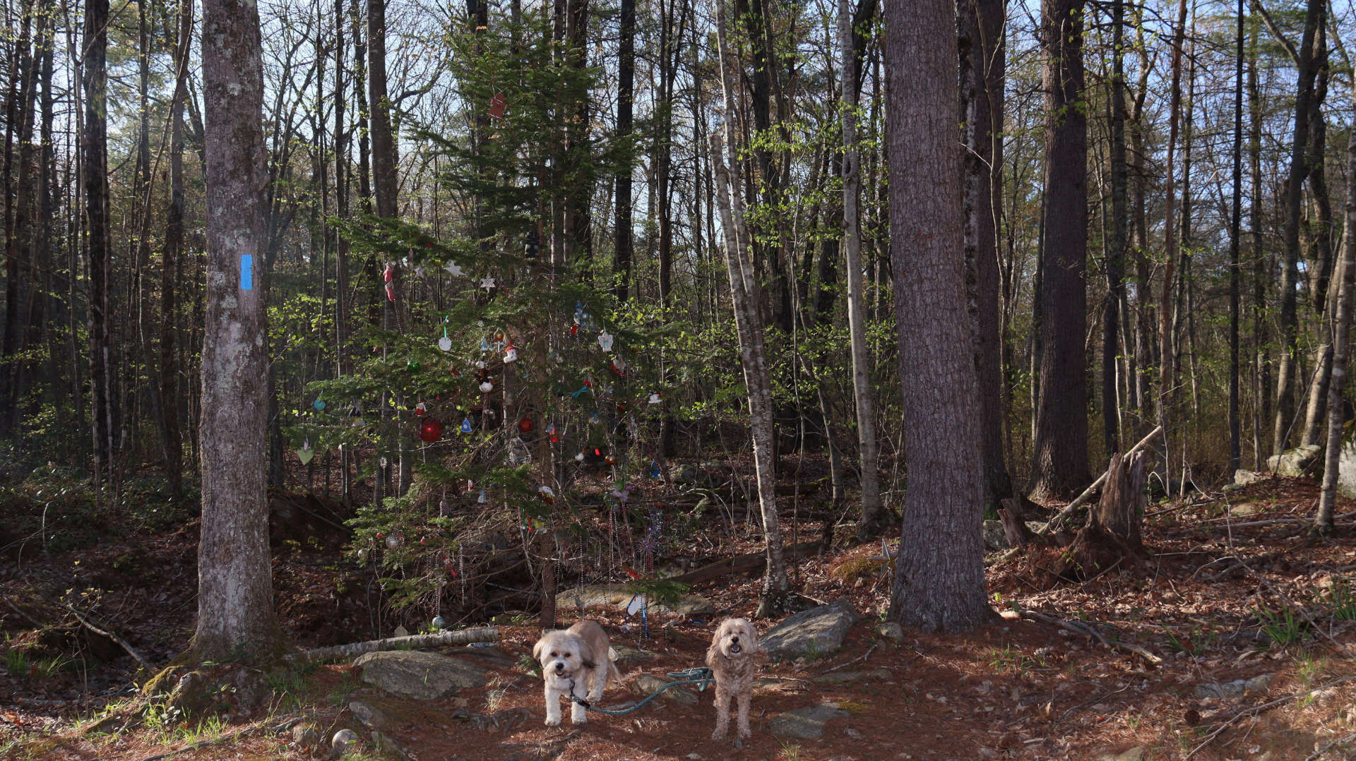 Glocester128