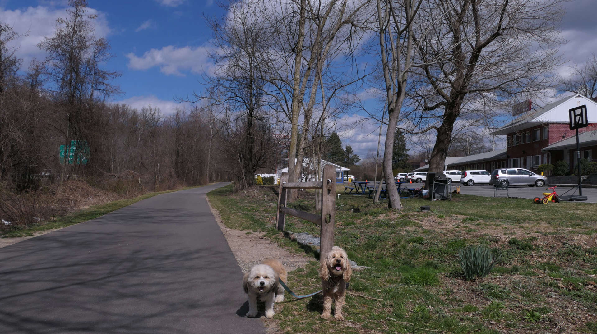 Greenburgh19