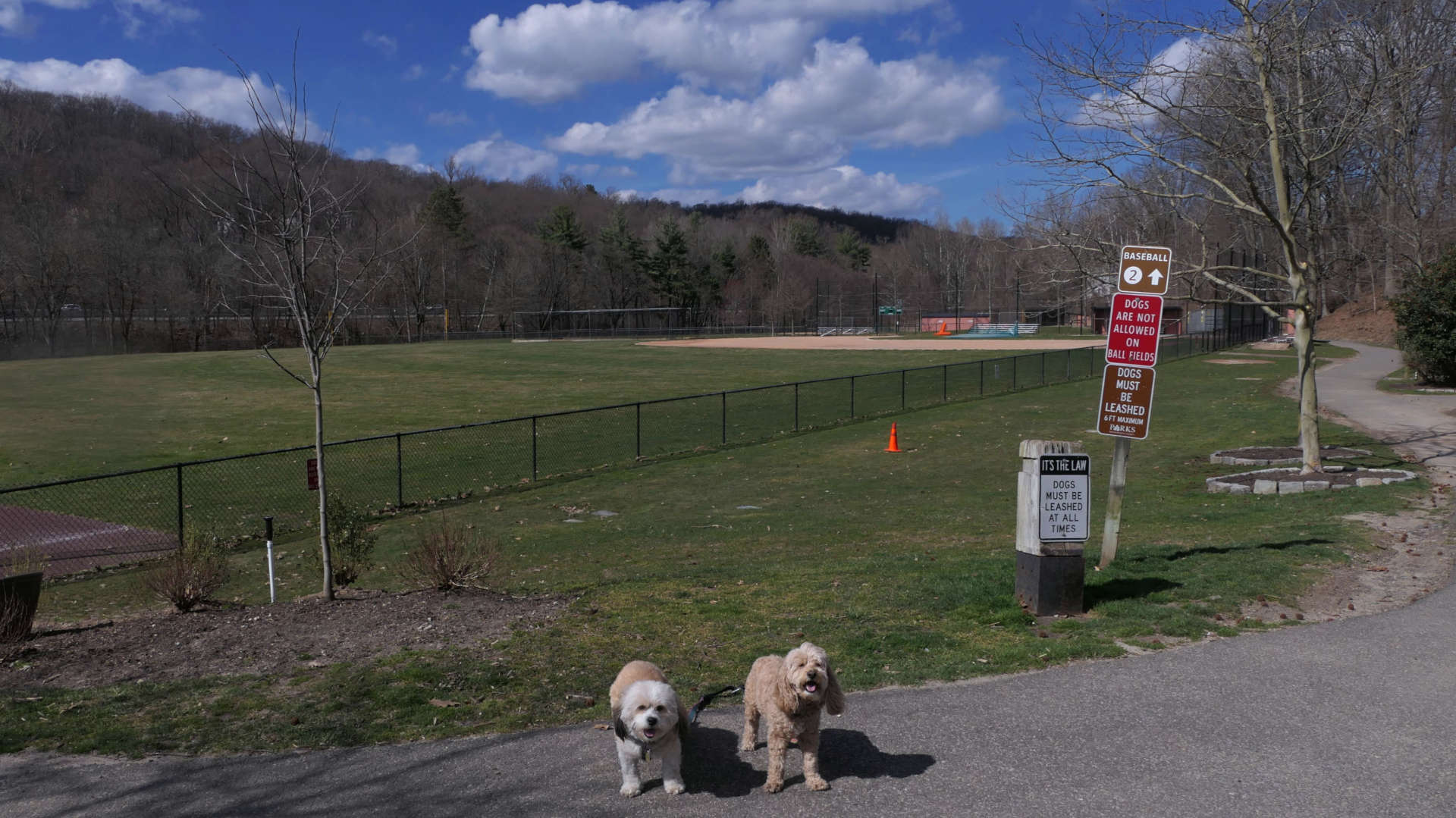 Greenburgh23
