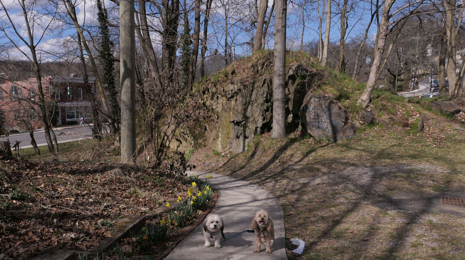 Greenburgh29