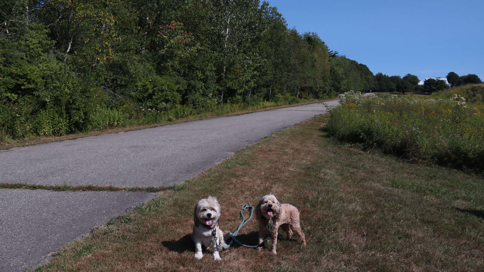 Harpswell7