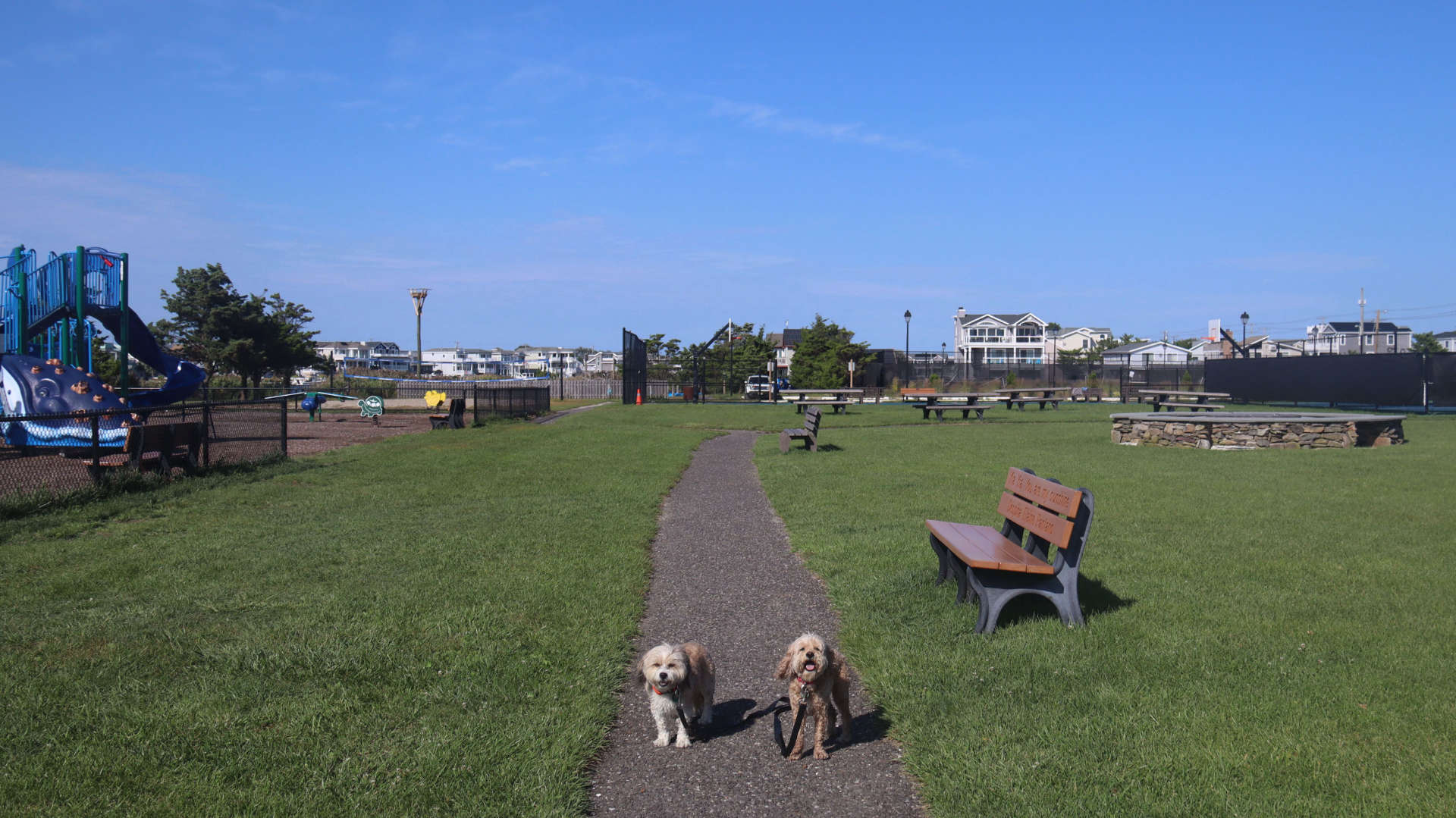 Harvey_Cedars9