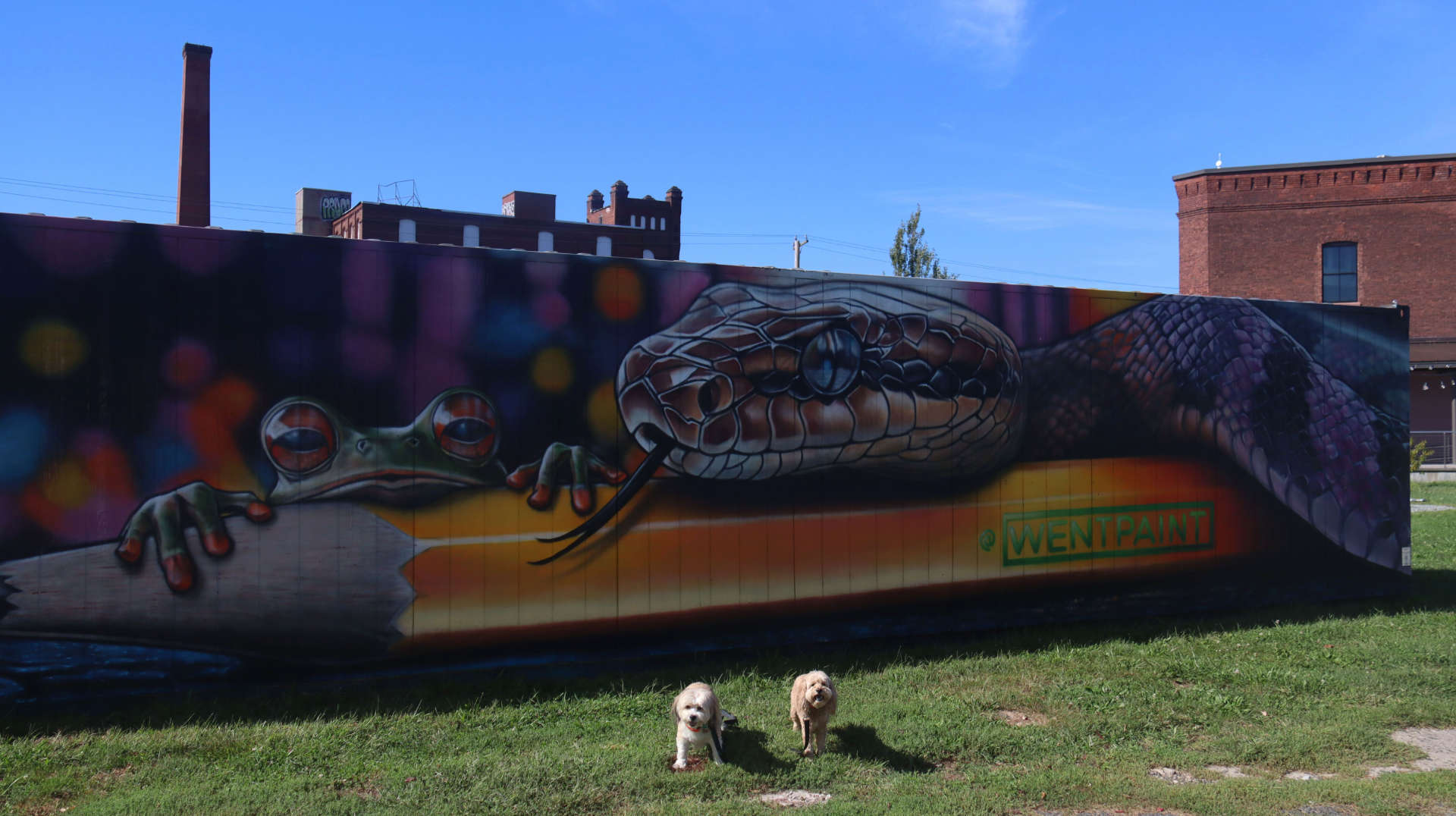 Holyoke10