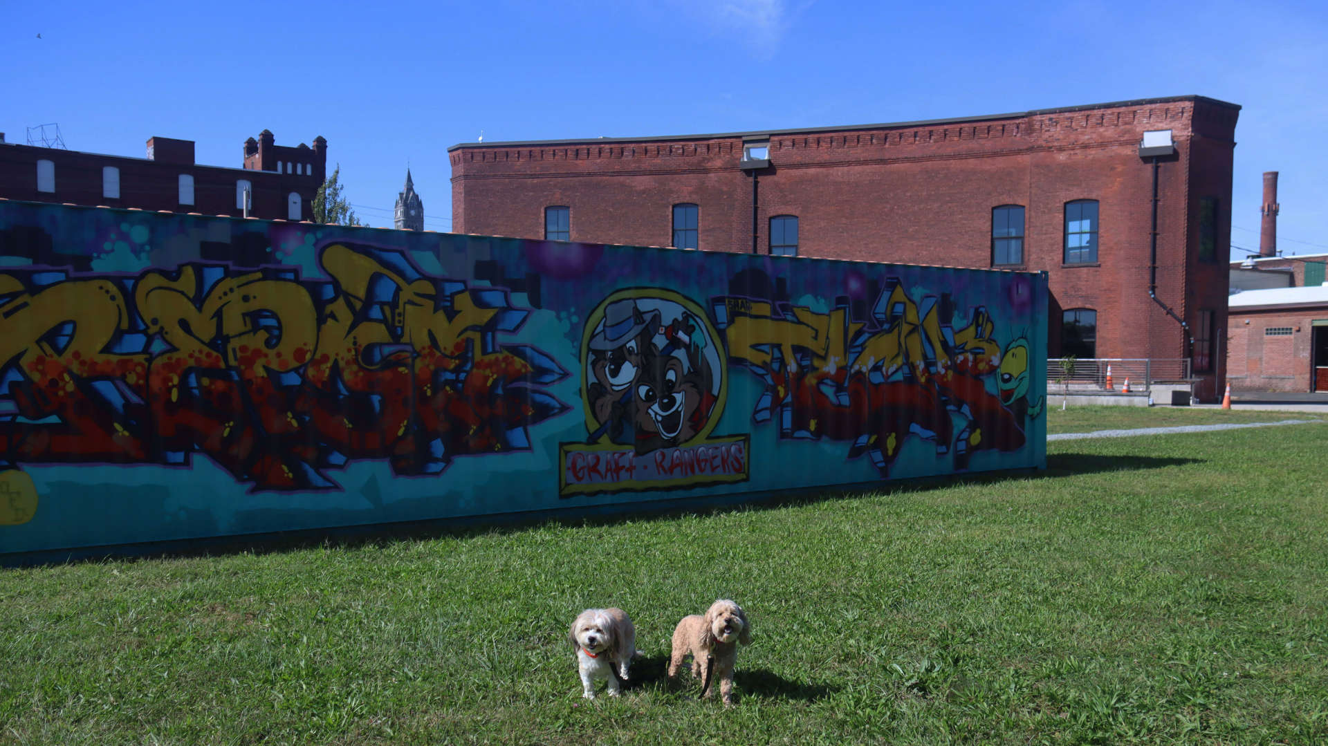 Holyoke9