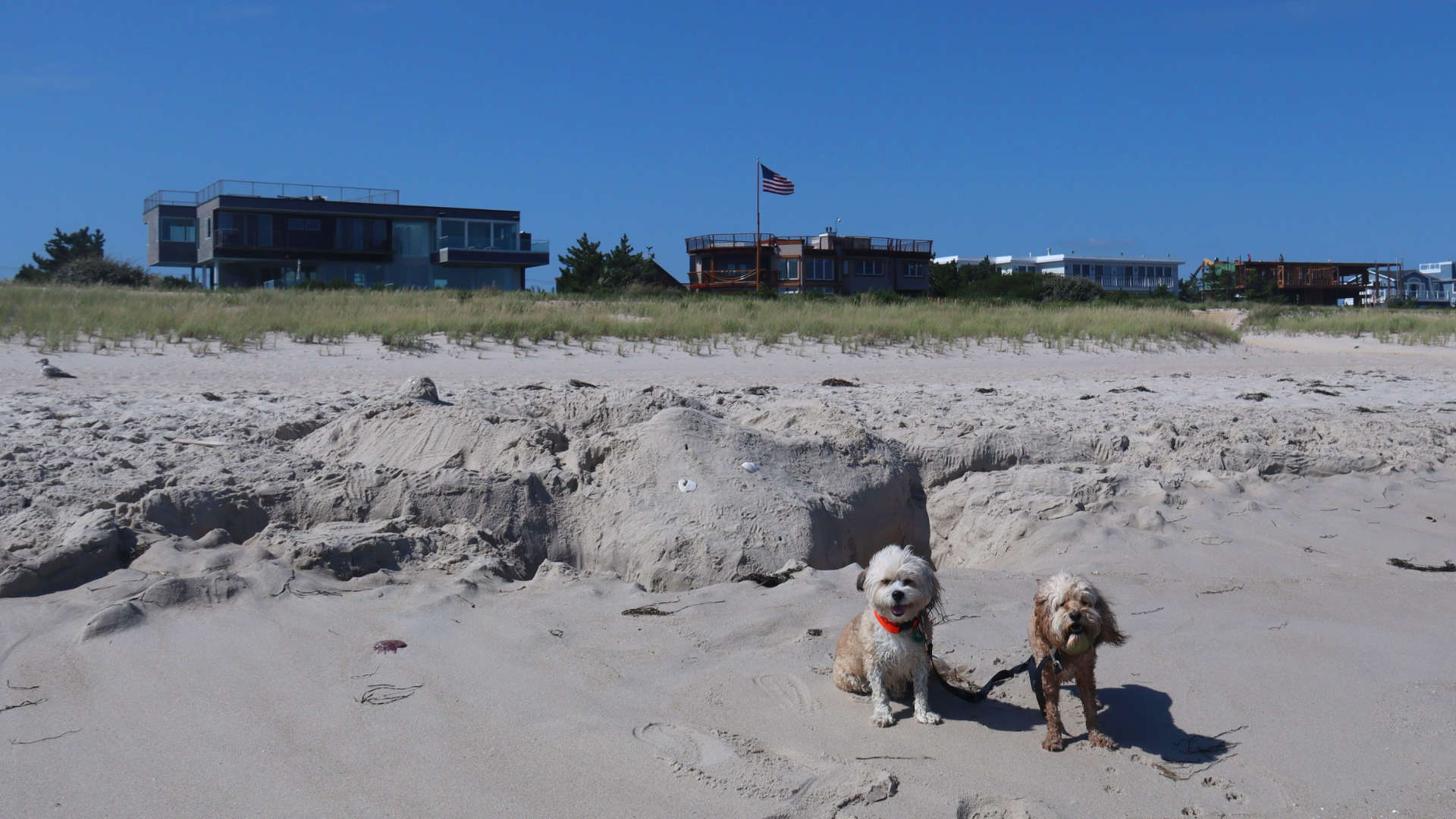 Long_Beach2