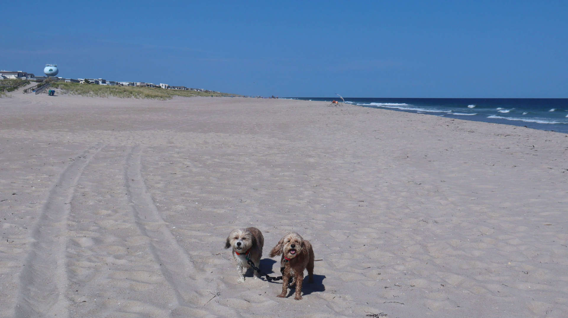 Long_Beach7
