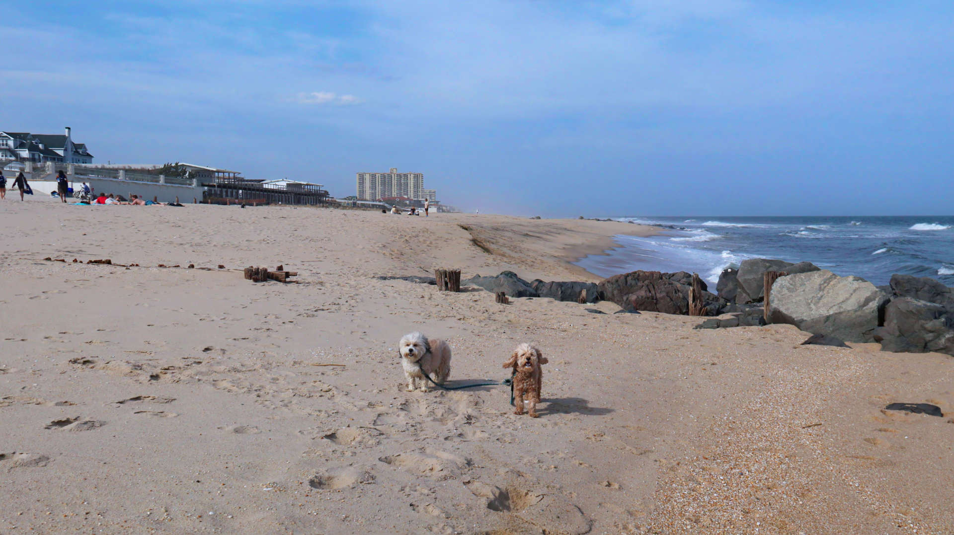 Long_Branch53