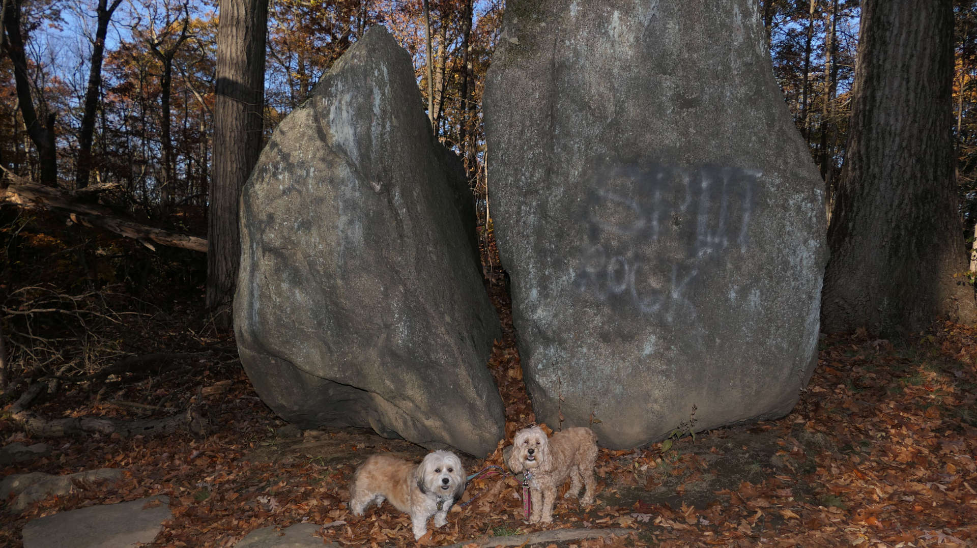 Mamaroneck21