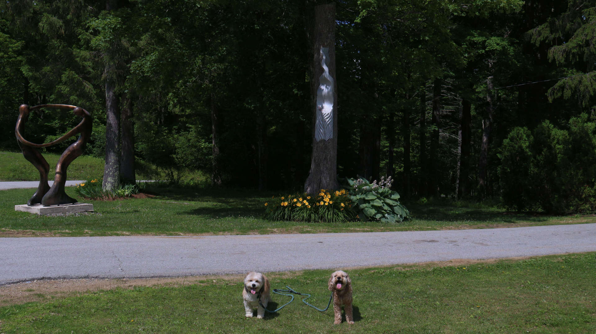 ManchesterVT13