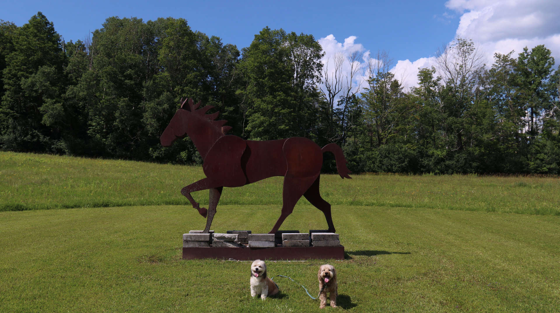 ManchesterVT19