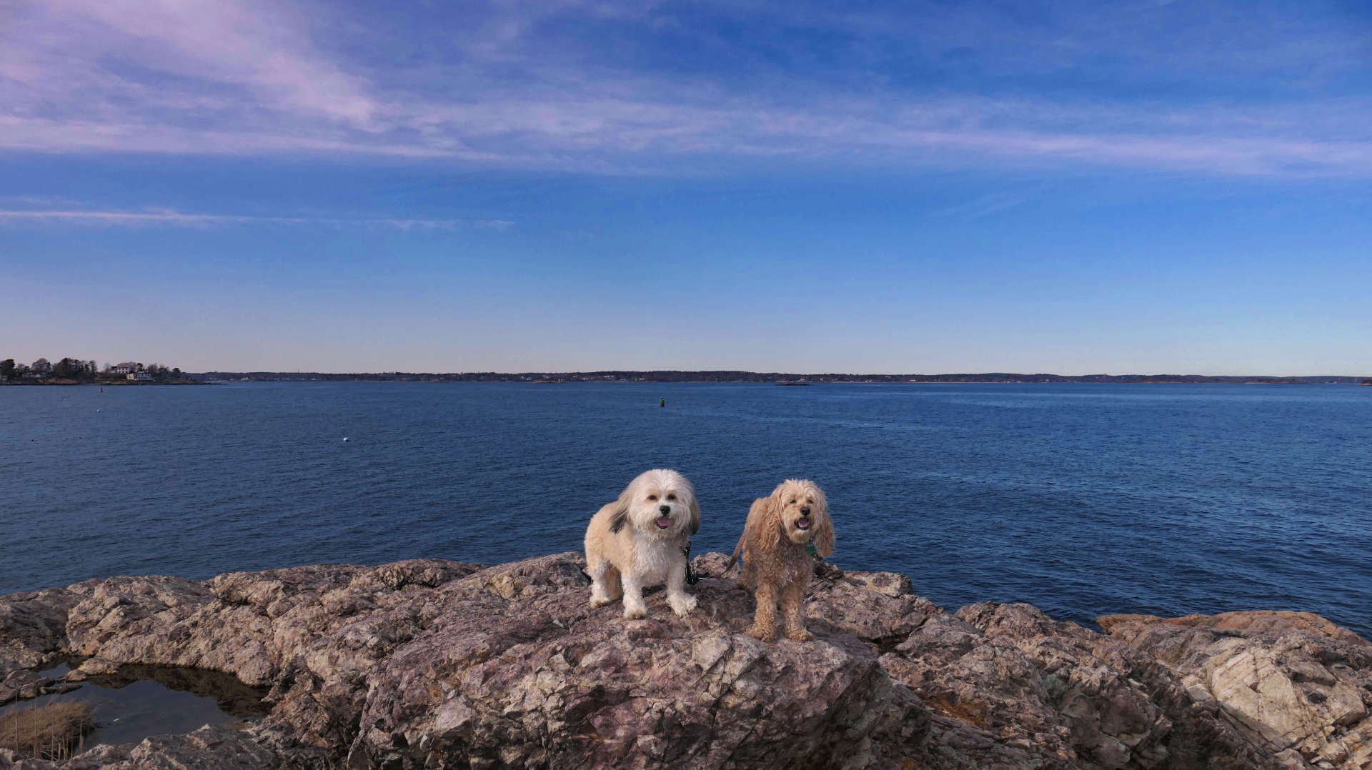 Marblehead63
