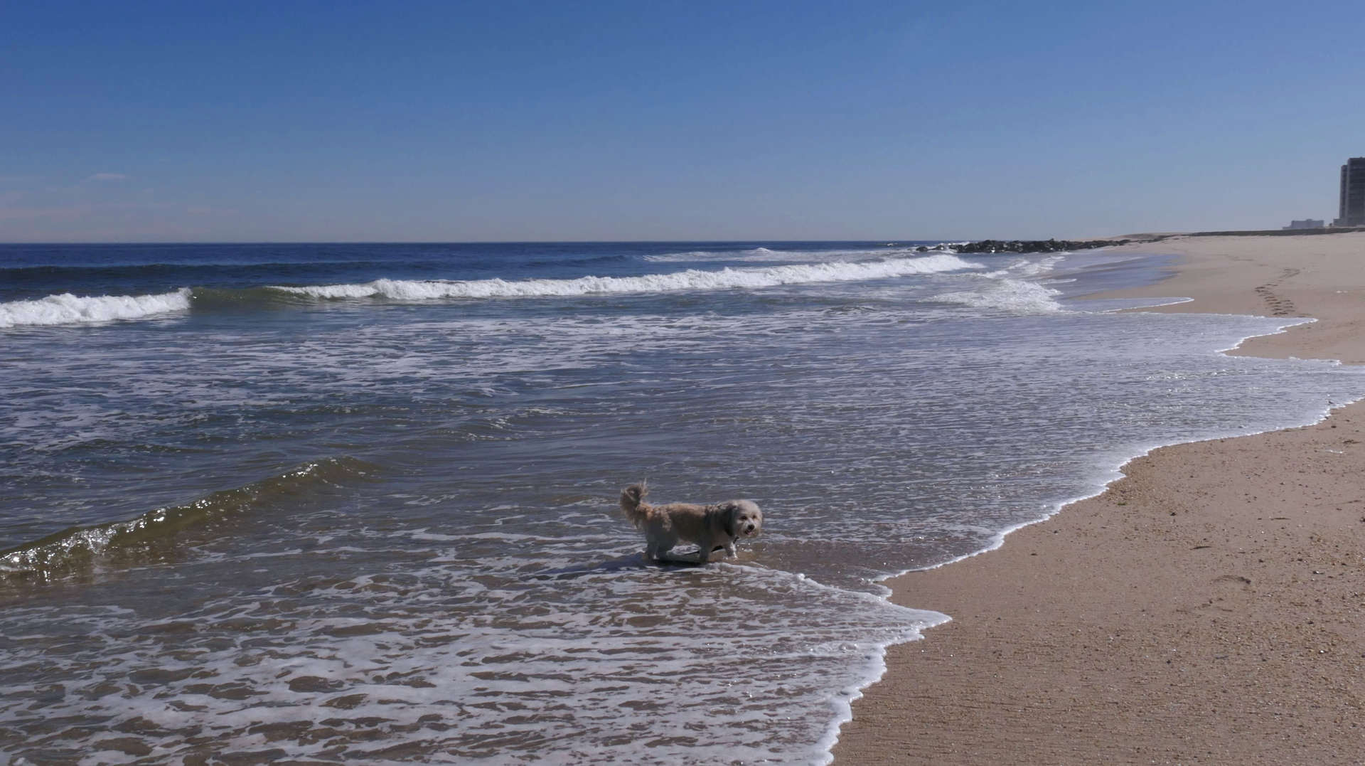 Monmouth_Beach10