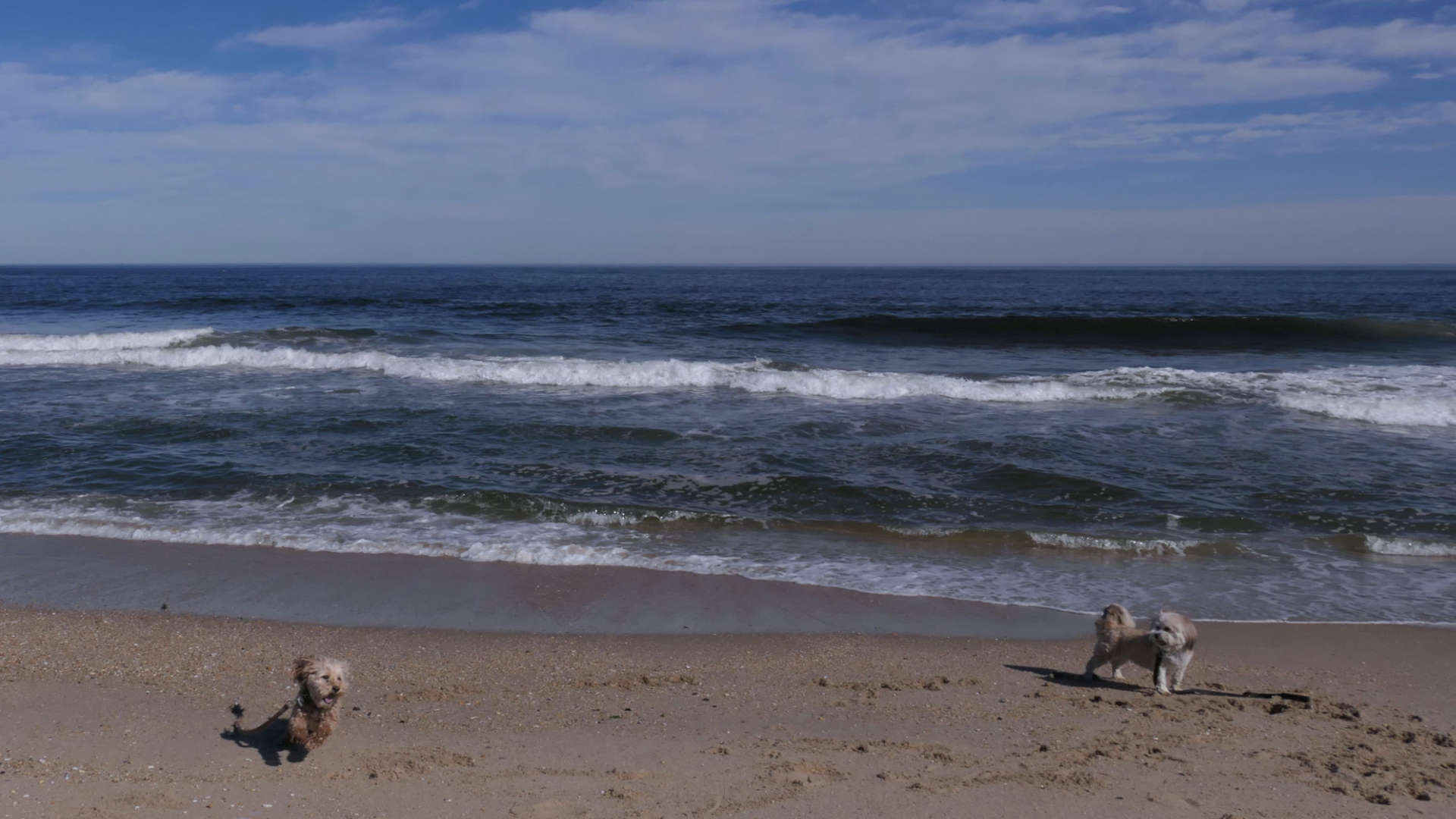 Monmouth_Beach18