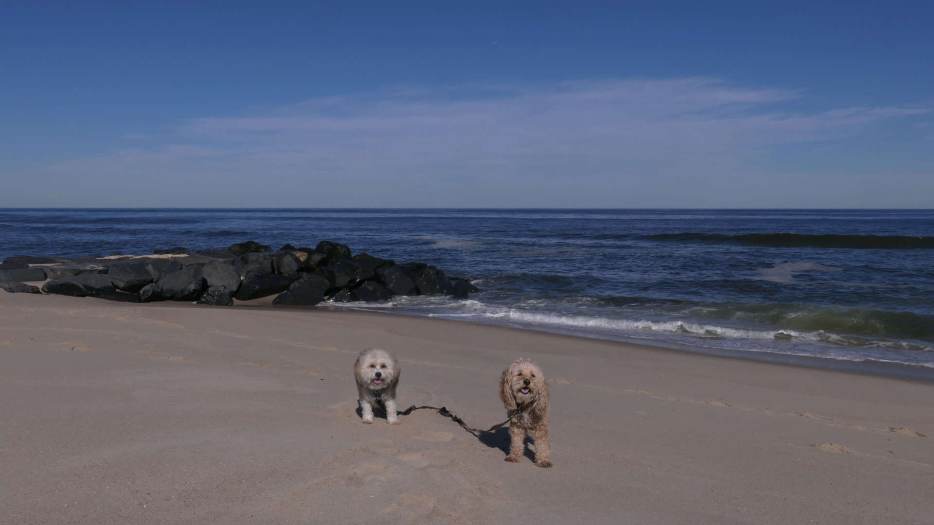 Monmouth_Beach28
