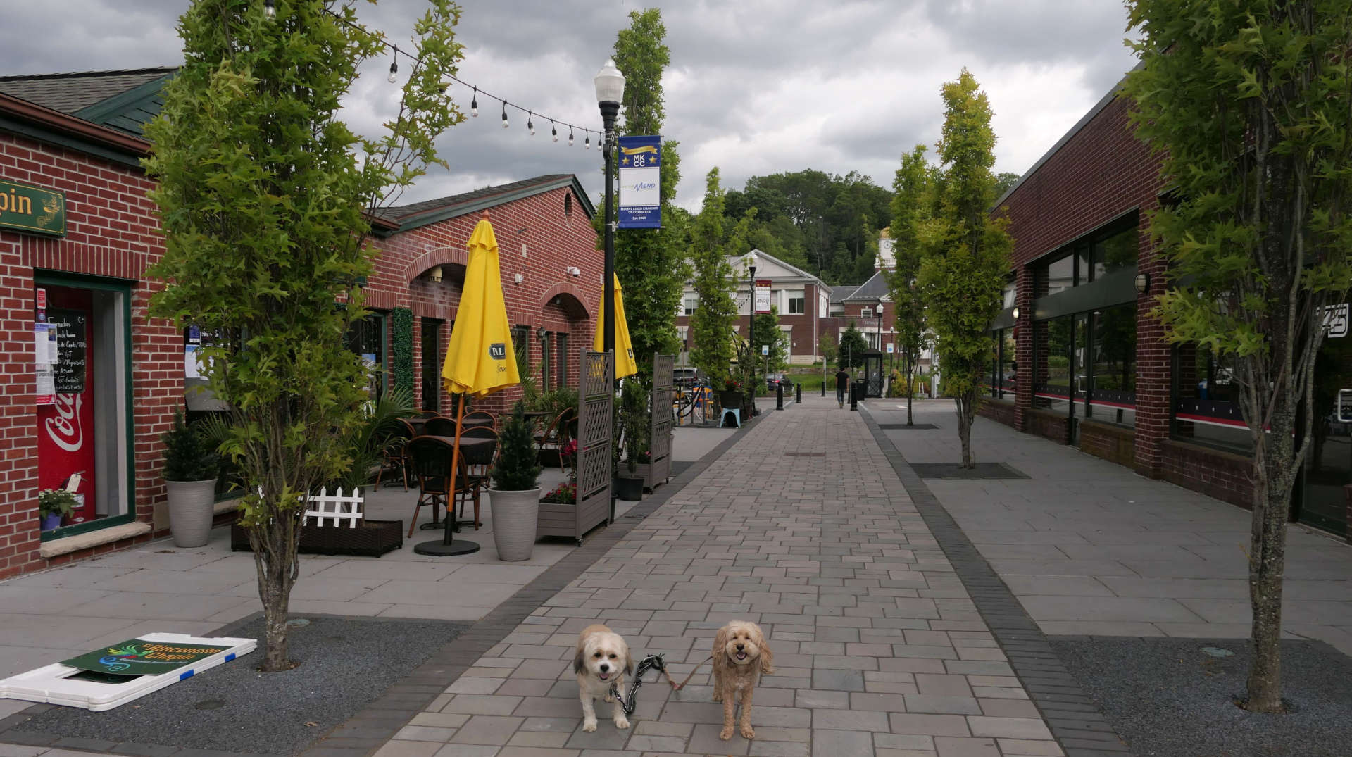 Mount_Kisco8