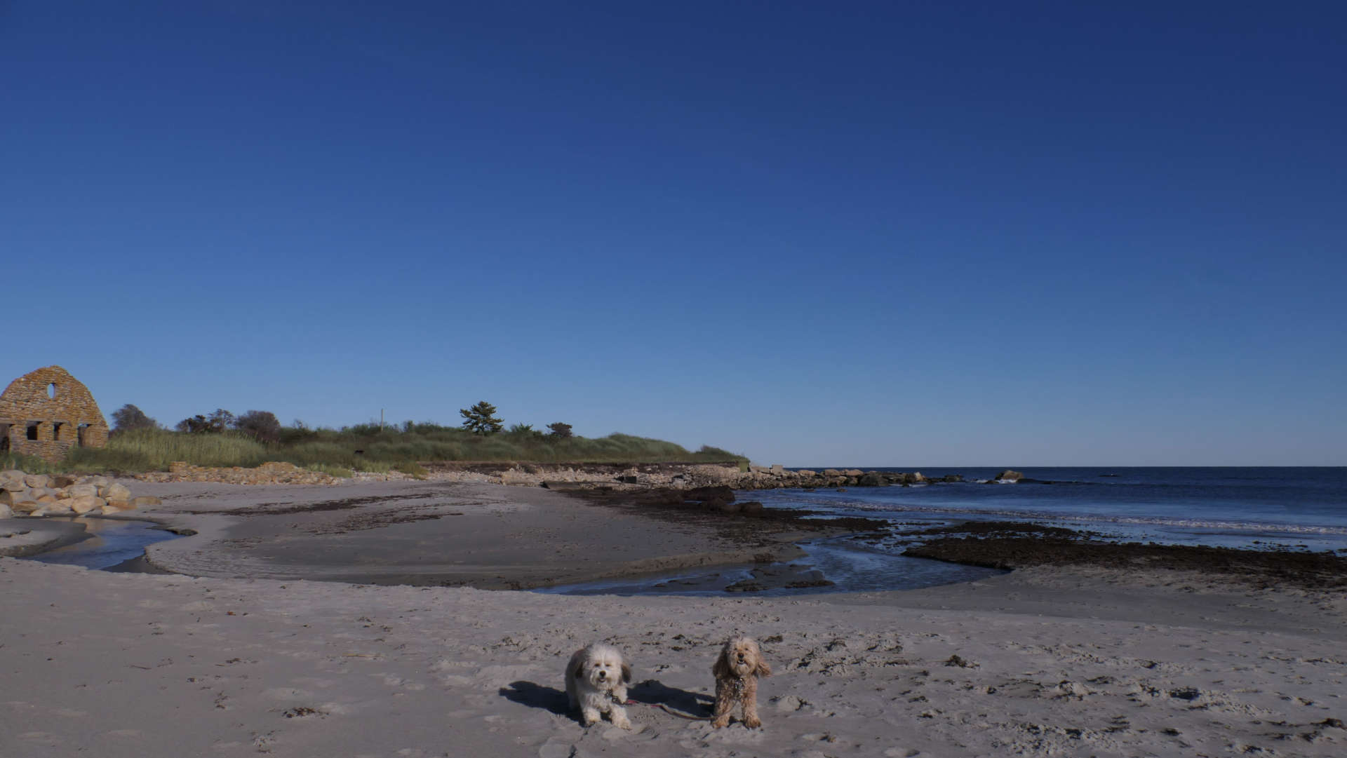 Narragansett494