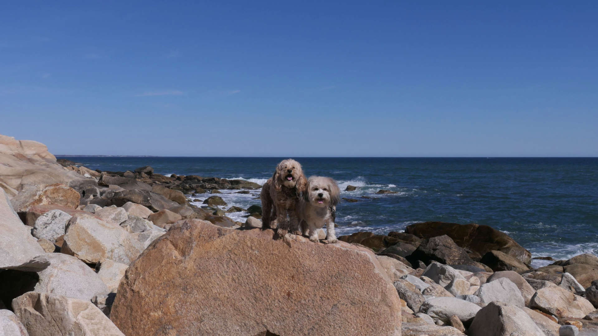 Narragansett503