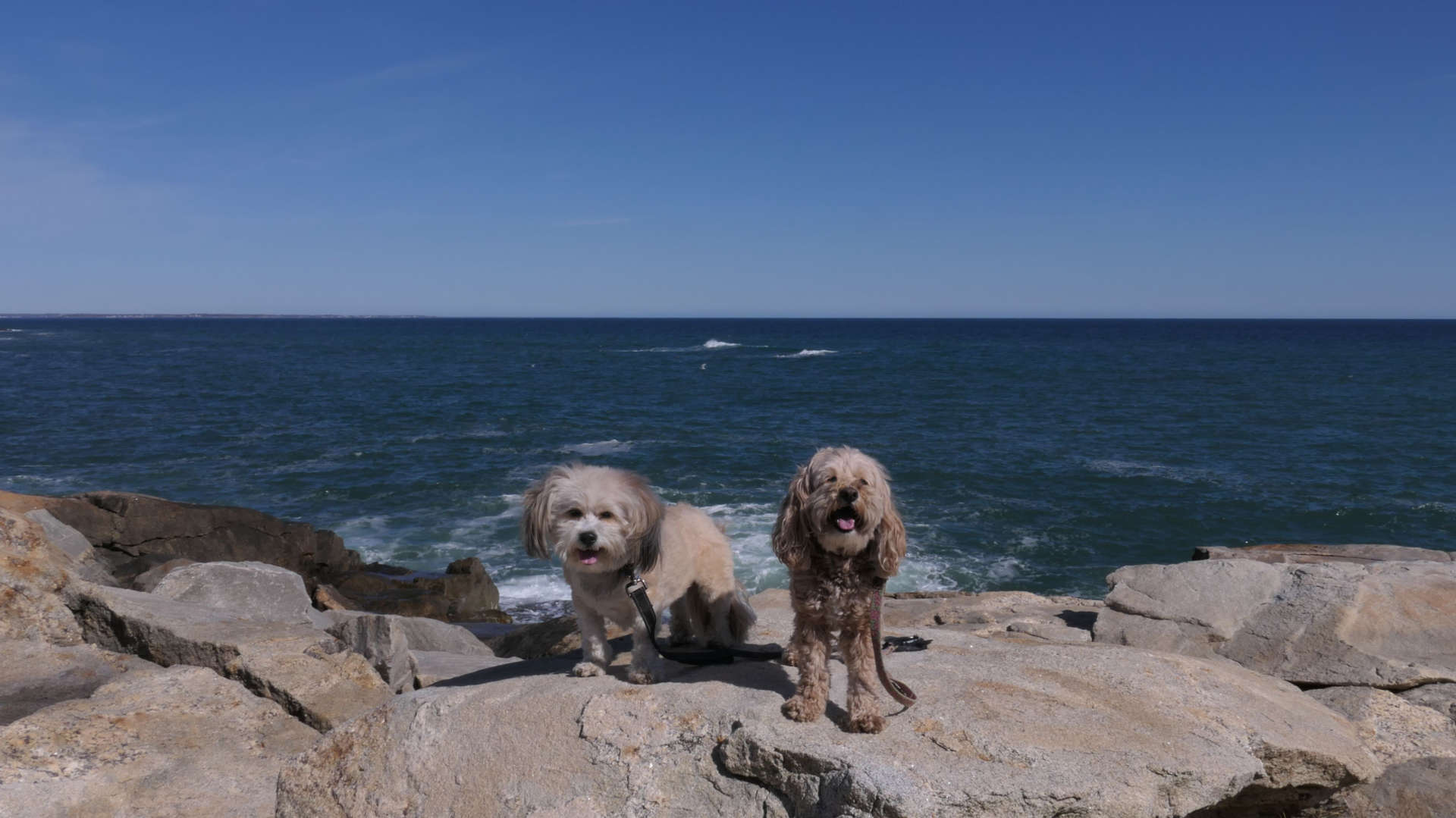 Narragansett509